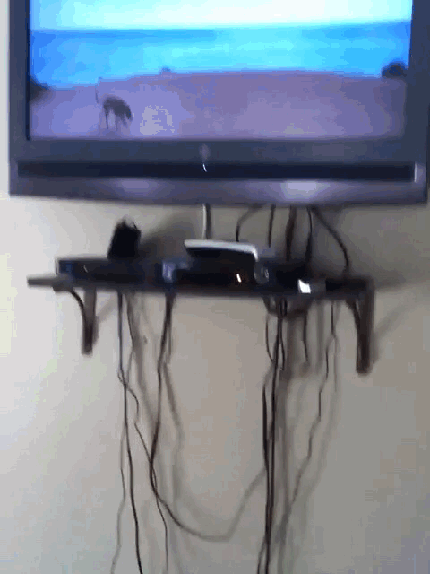 Elliot, German Shepard/Hound