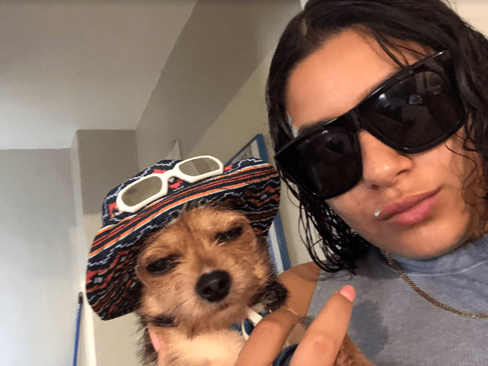 Screen Shot 2018-10-16 at 2.46.14 PM