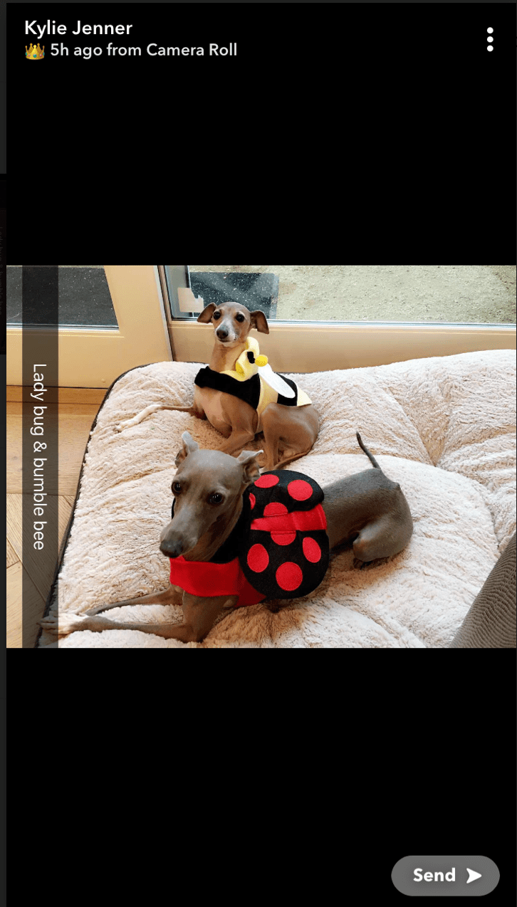 Screen Shot 2018-10-16 at 2.46.26 PM