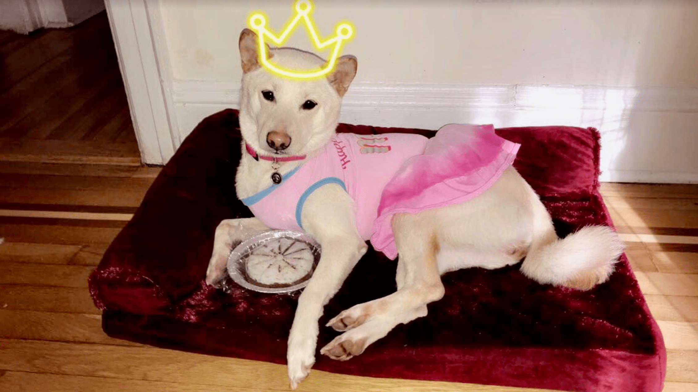 Screen Shot 2018-10-16 at 2.46.45 PM