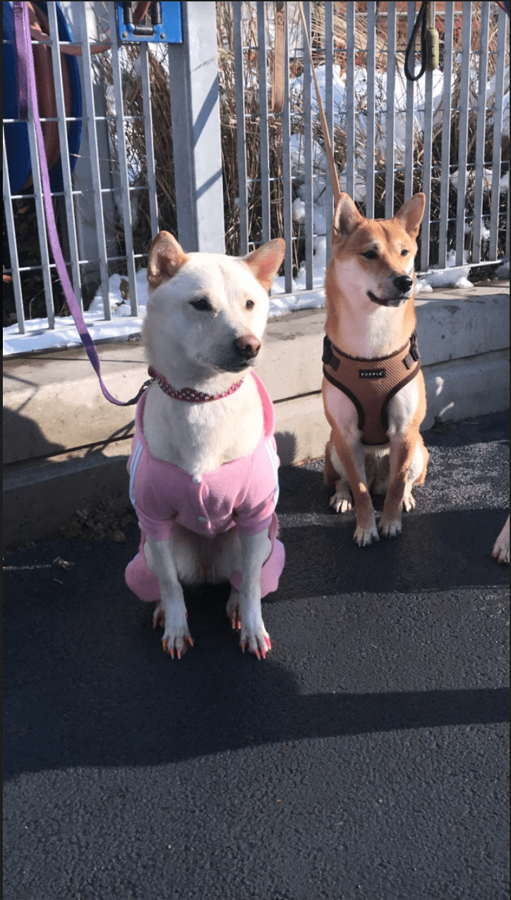 Screen Shot 2018-10-16 at 2.47.02 PM